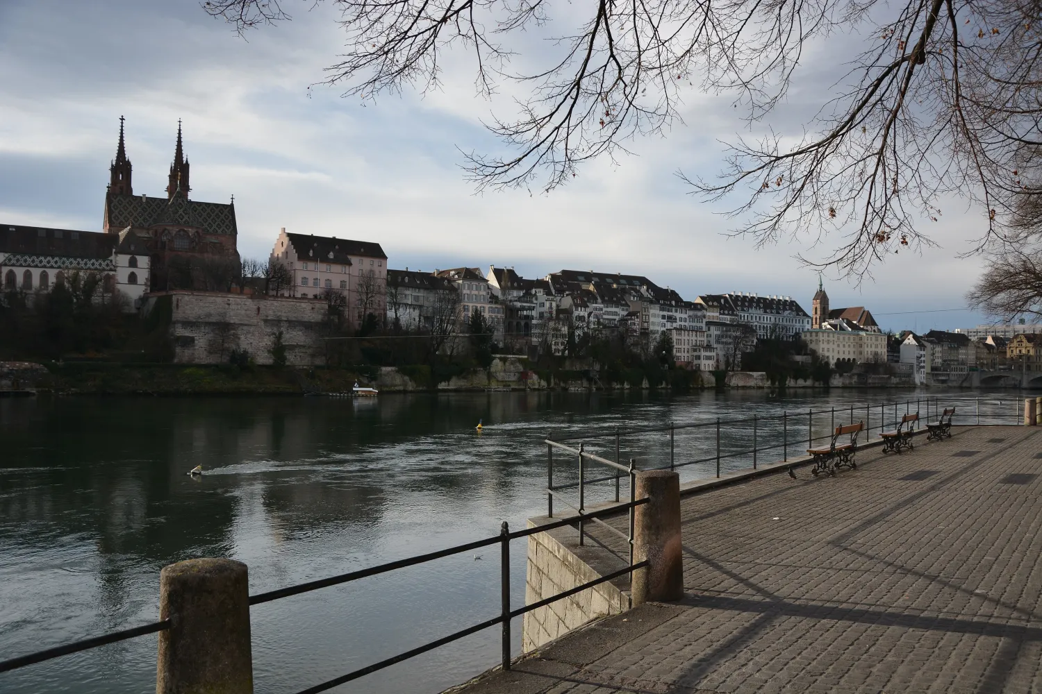 Blick über den Rhein auf das Basler Münster