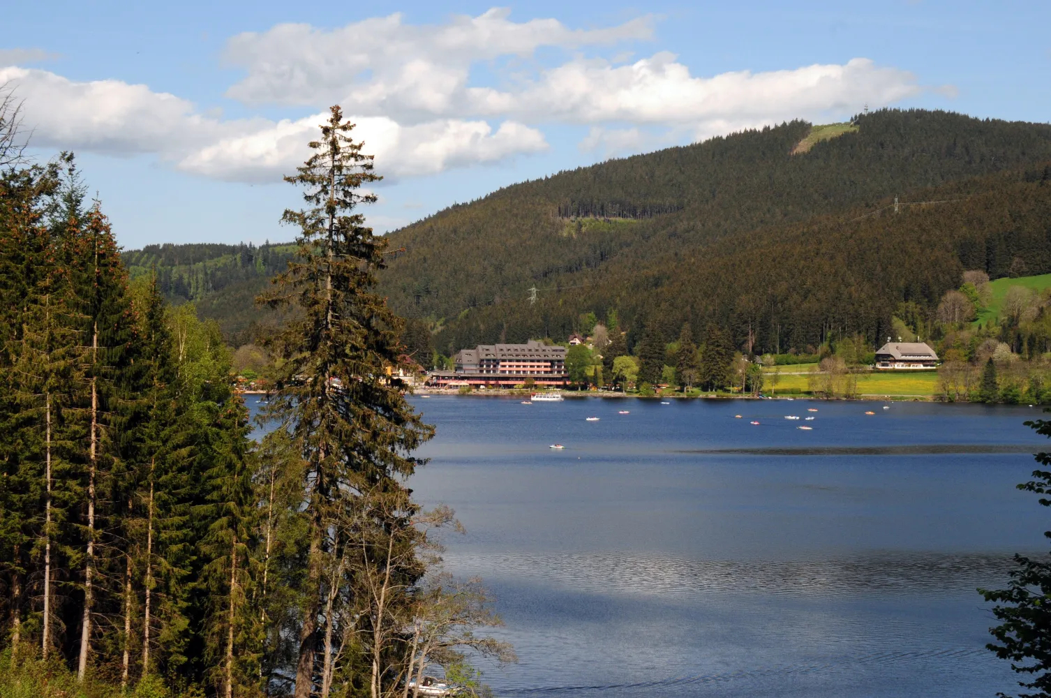 Der Titisee im Schwarzwald